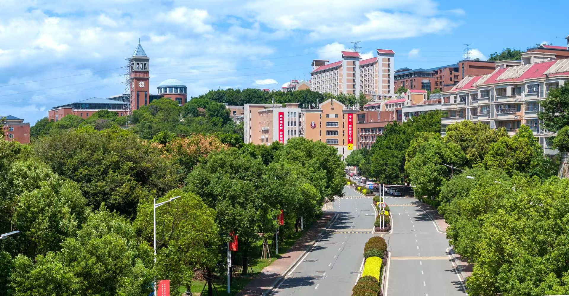 Yango University Campus