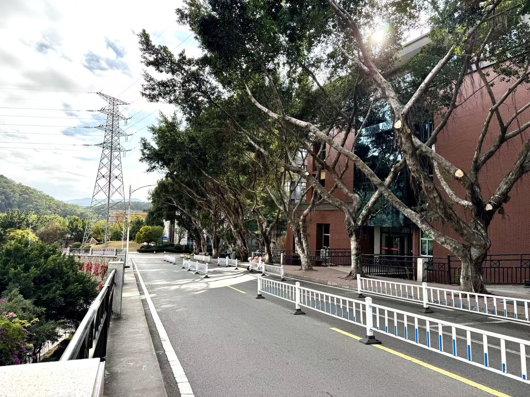 Yango University Road